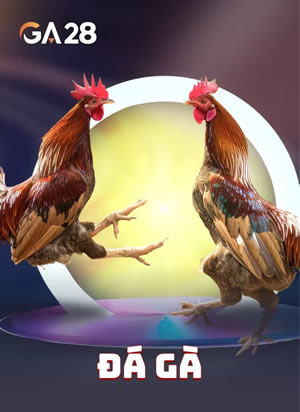 Blackjack Mỹ