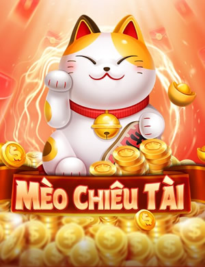 Hilo Card